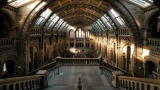 London - Natural History Museum